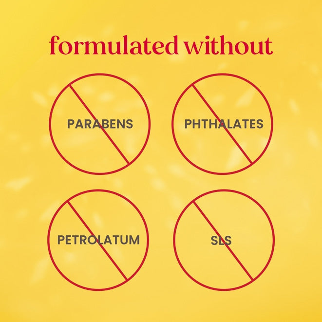 Mask Bundle Holiday Gift Set
